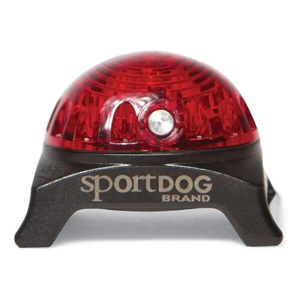 Compact Red Dog Safety Light with Carabiner for Nighttime Dog Walking and Jogging