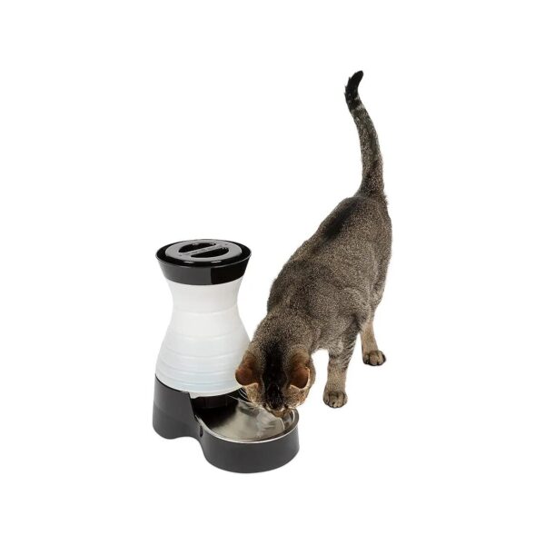 Compact and Easy-to-Clean Dog Water Station with Stainless Steel Bowl