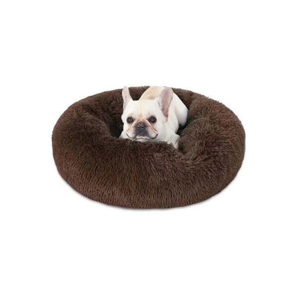 Compact and Spacious Dog Bed for Medium and Small Dogs