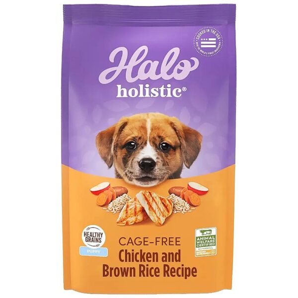 Complete Digestive Health and Brain Support for Puppies with this Wholesome Dry Dog Food