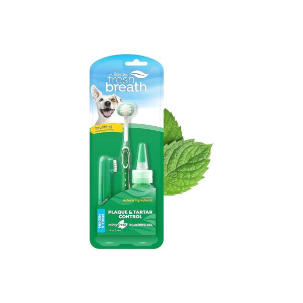 Complete Dog Oral Care Kit with Toothbrush and Toothpaste for Small and Medium Dogs