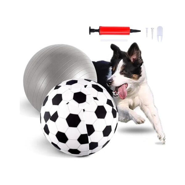 Complete Herding Ball Kit for Small Medium Large Dogs with Air Pump and Cover