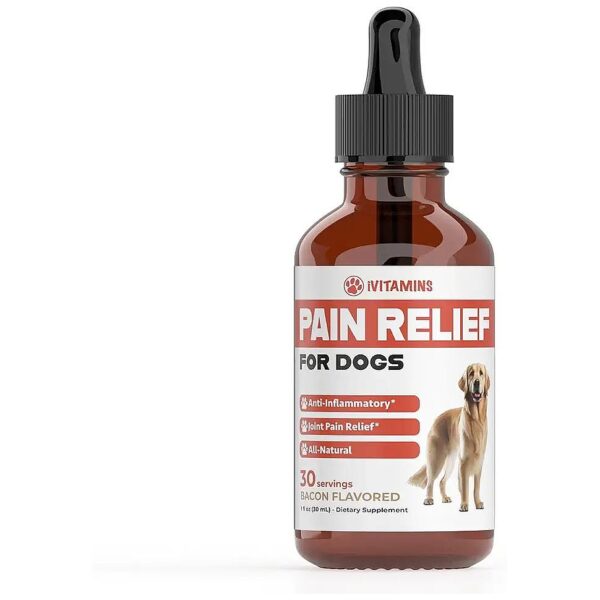 Comprehensive Natural Dog Pain Relief Product for Every Breed, Size, and Health Condition