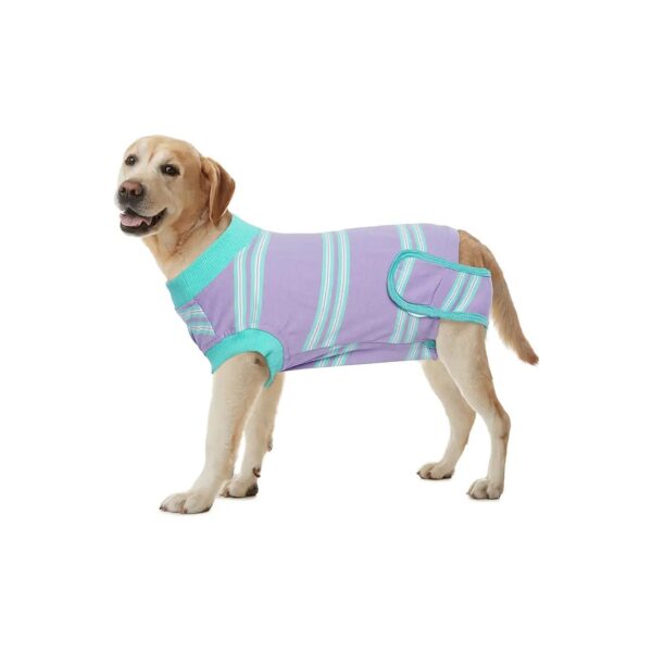 Cone Collar Alternative Dog Surgery Recovery Suit for Comfortable Wound Healing