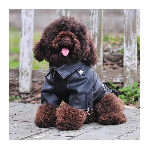 Cool and Waterproof Dog Motorcycle Jacket, XXL Size, Leather Look and Feel