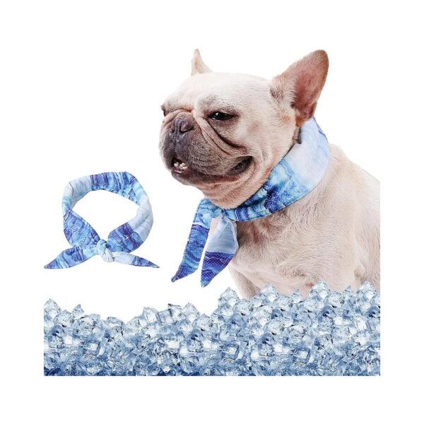 Cooling Dog Collar and Bandana Combo Instant Relief for Summer Heat Stress and Discomfort