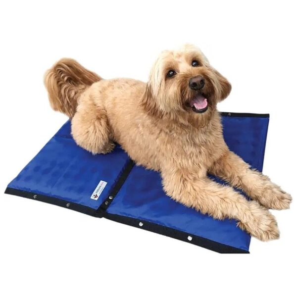 Cooling Dog Cooling Products Hydro Cooling Mat for Large Dogs