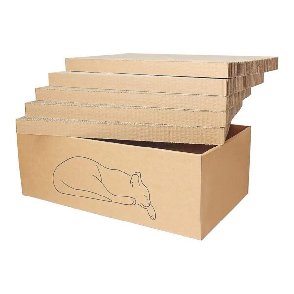 Corrugated Cardboard Cat Scratch Pad with Box and 5 Reversible Pads for Indoor Cat Play