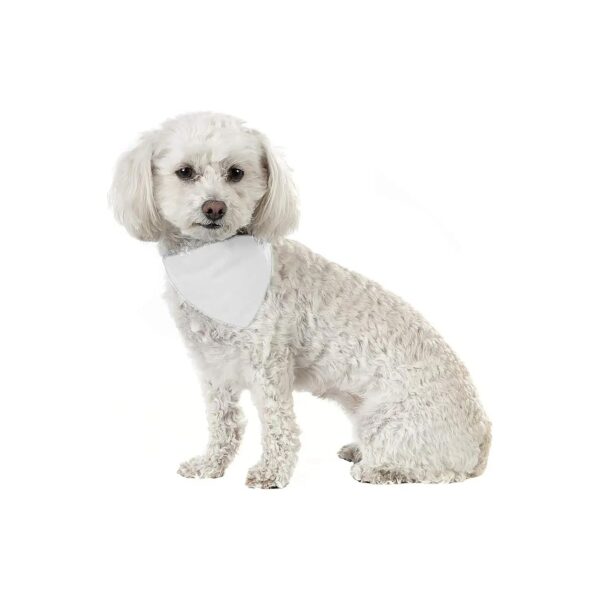 Cotton Dog Bandanas for Small and Medium Pets 3 Pack White Triangle Bibs