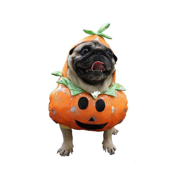 Cotton Halloween Pumpkin Dog Costume for Small Dogs with Little Legs