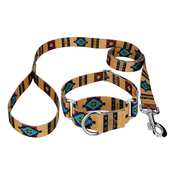 Country Western Themed Dog Collar and Leash in Native Arizona Design