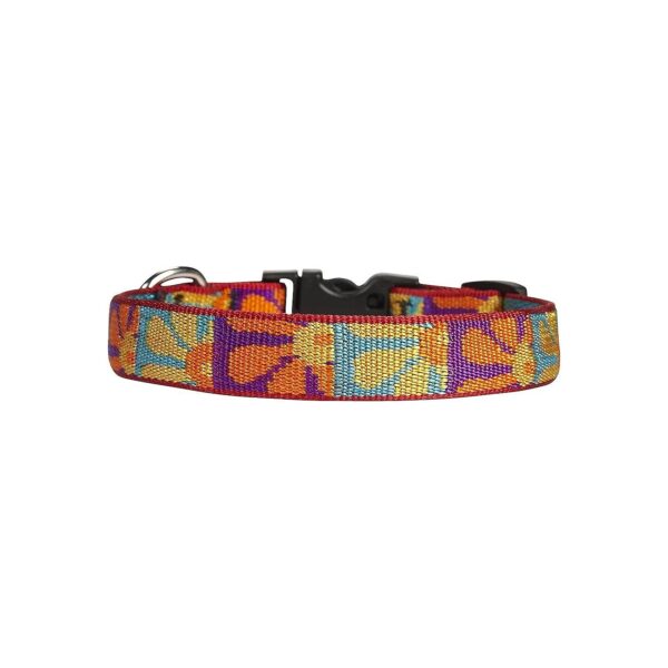 Crazy Daisy Pattern Dog Collar for Small Dogs - Nylon and Adjustable