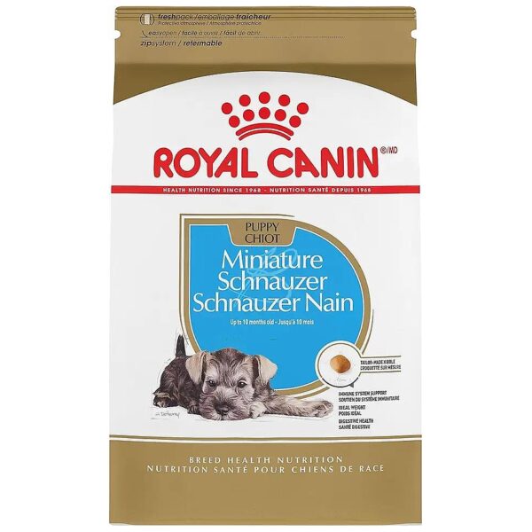 Crunchy Dry Dog Food with Chicken Flavor for Healthy Miniature Schnauzer Puppies