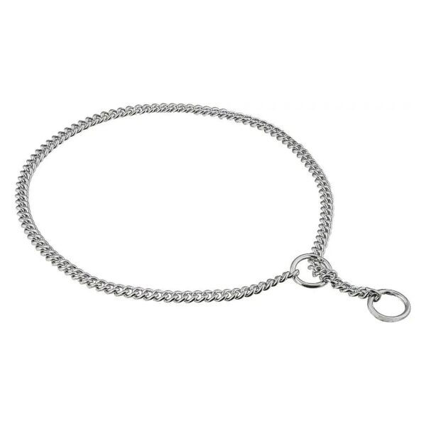 Curved Chrome Plate Dog Show Collar with 4mm Thickness and 14-inch Length