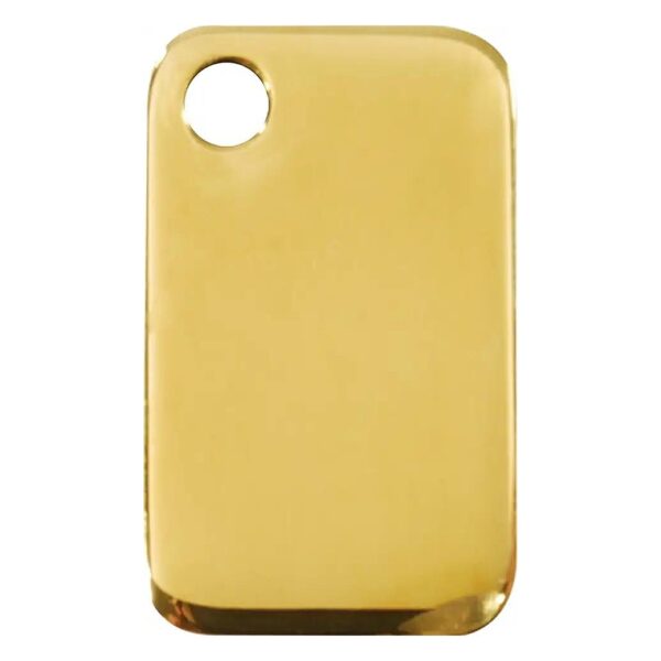 Customizable Brass Rectangle Dog ID Tag in Large Size with Free Engraving