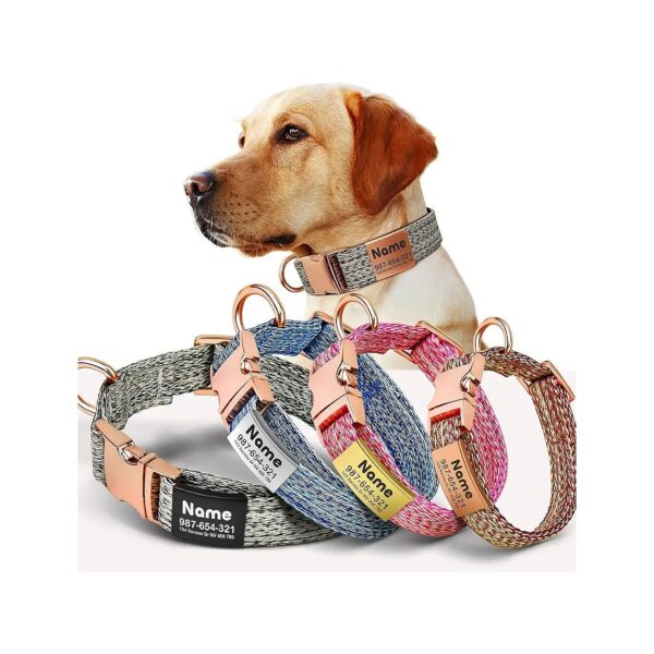 Customizable Dog Collars with ID Tag for Small Medium Large Dogs