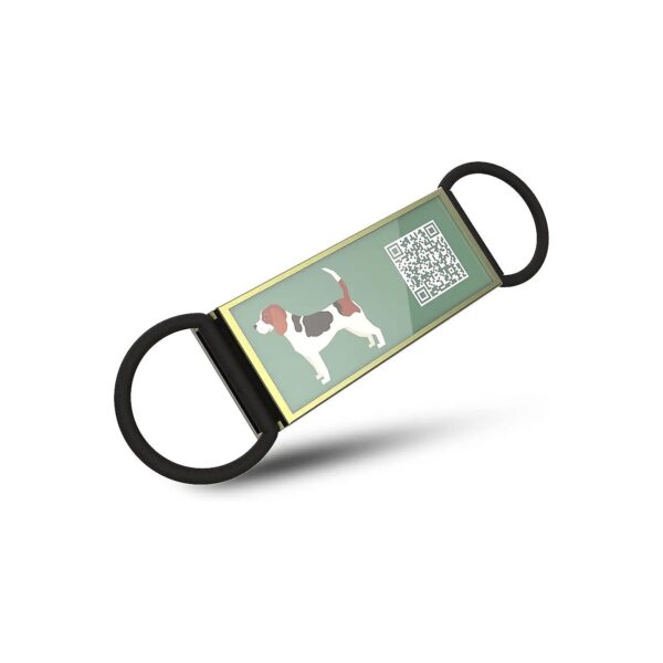 Customizable Dog ID Tags with Online Pet Page for Safe Pet Identification