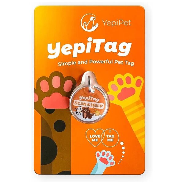 Customizable Pet ID Tag with Stainless Steel Ring and Secure Online Tracking