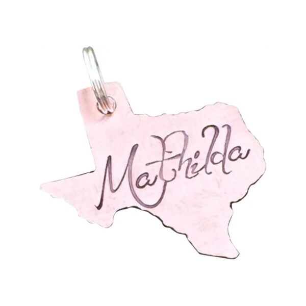 Customized Copper Pet Tag for Your Small to Medium-Sized Pet