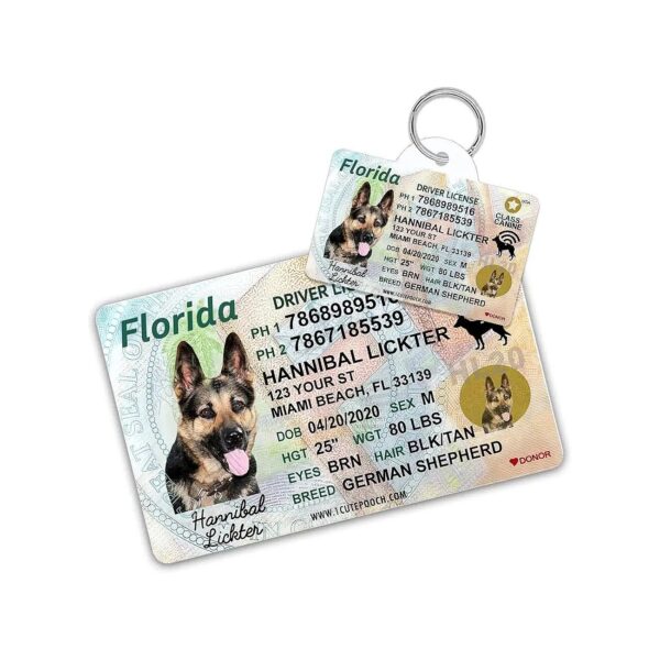 Customized Pet ID Tags with Wallet Card for Cats Dogs