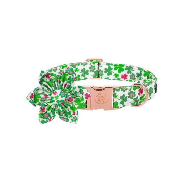 Cute Detachable Flower Collar for Small to Medium Size Dogs