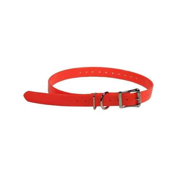 D-Ring Orange Dog Collar Replacement Strap for Leashes and Tags