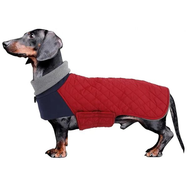 Dachshund Winter Coat with Water Repellent Windproof Fleece Lining Red Medium