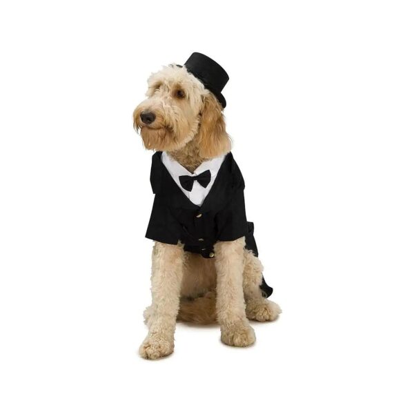 Dapper Dog Costume with Tails and Buttons for Small Breeds