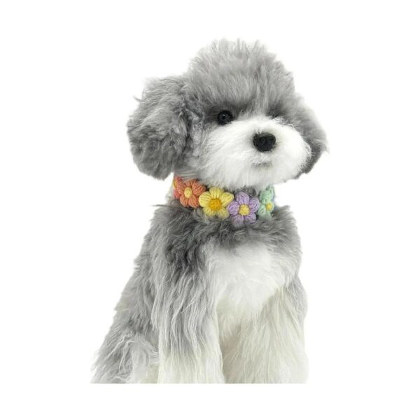 Dazzling Rainbow Flower Cat Necklace for Cats, Small Dogs, and Unique Pet Accessories