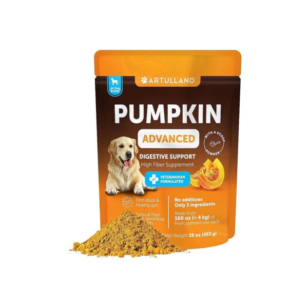 Delicious Pumpkin Powder for Dogs with Healthy Skin and Coats