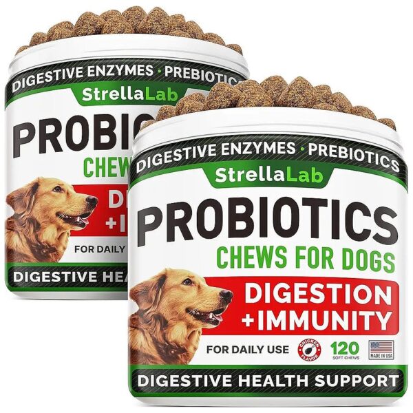 Digestive Enzymes and Probiotics for Dog Health and Wellbeing