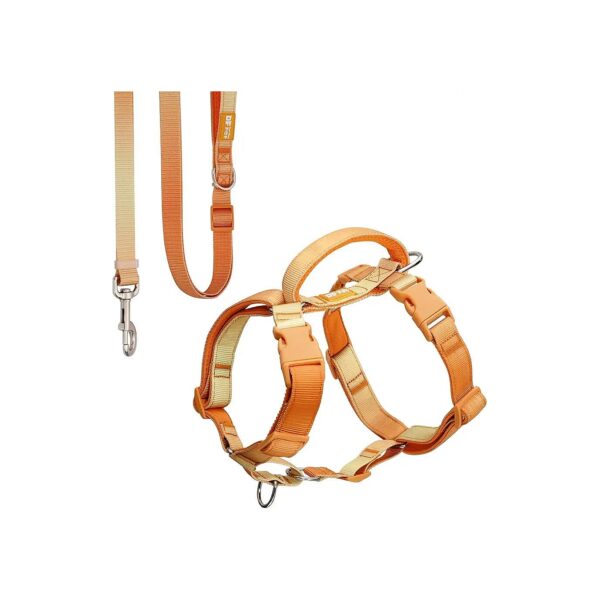 Discouraging Pulling Dog Harness and Leash Set with Front Clip and Soft Padded Handles