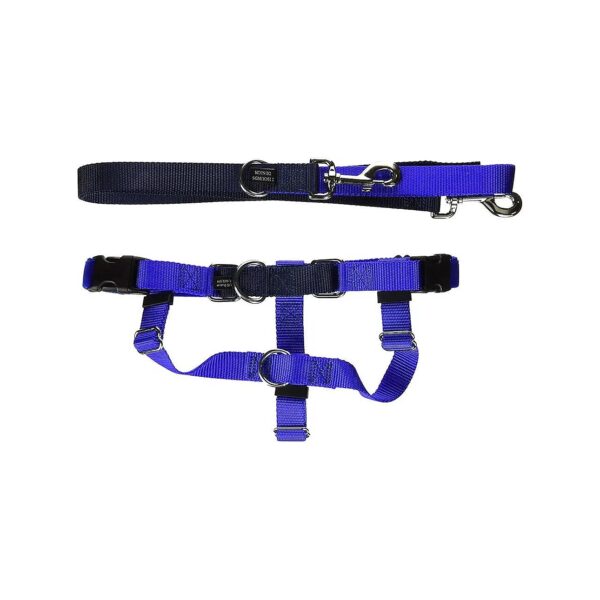 Discreet Design Royal Blue Large Size 1-Inch Wide No Pull Dog Harness with Leash