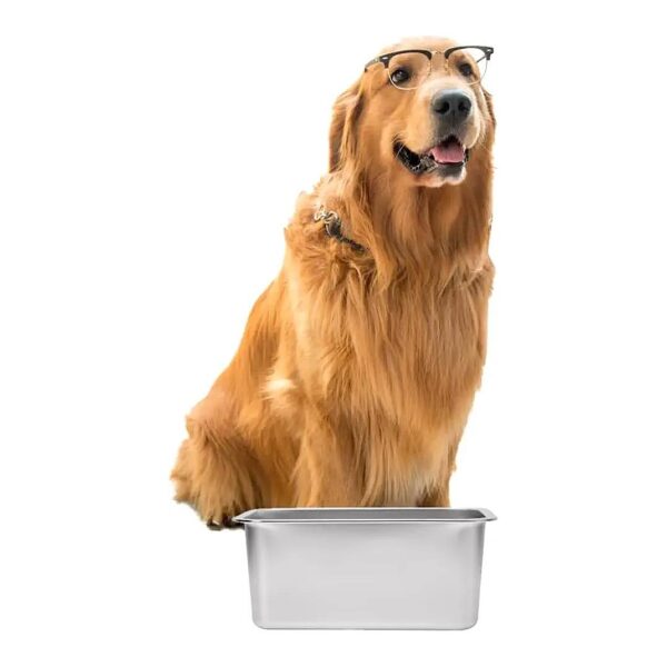 Dishwasher Safe Stainless Steel Dog Bowls for Simple Maintenance