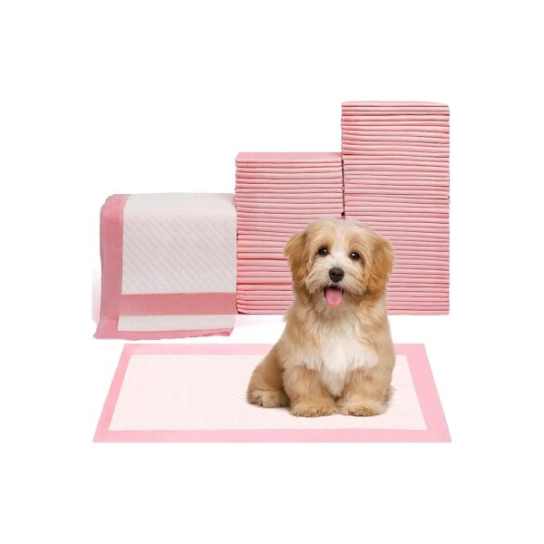 Disposable Puppy Pee Pads 100Count for Dog Potty Training at Home