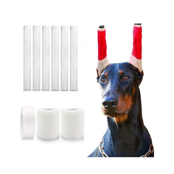 Doberman Dog Ear Excellence Kit with Sponge, Gauze, and White Tape