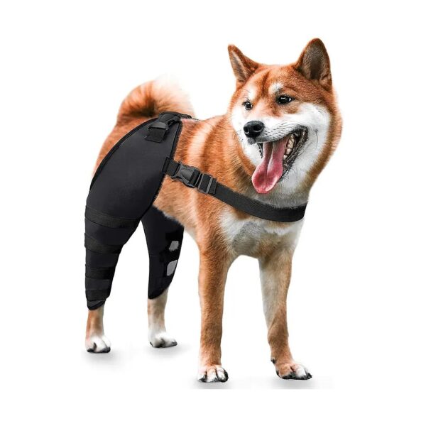 Dog ACL CCL Knee Braces with Extra Support for Pain and Arthritis Relief Black X-Small