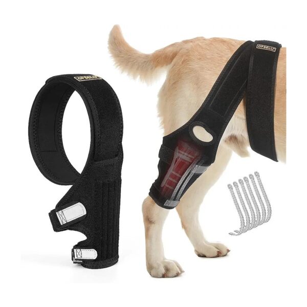 Dog ACL Knee Brace for Reducing Pain and Inflammation in Hind Leg Joints