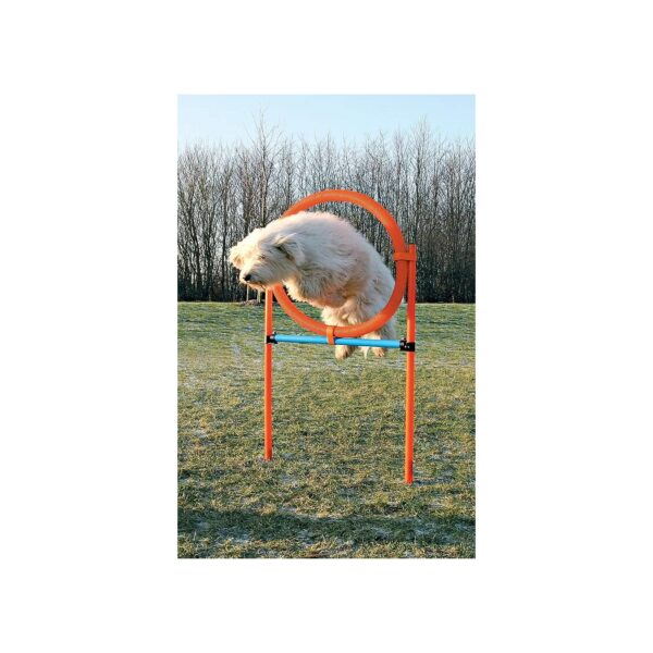 Dog Agility Training Combo with Ring and Obstacle Course Equipment