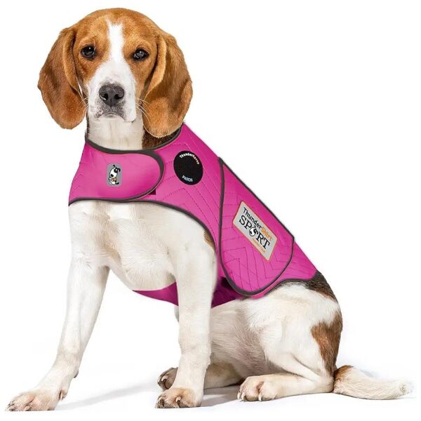 Dog Anxiety Relief Vest for Medium Dogs Fuchsia Sport ThunderShirt