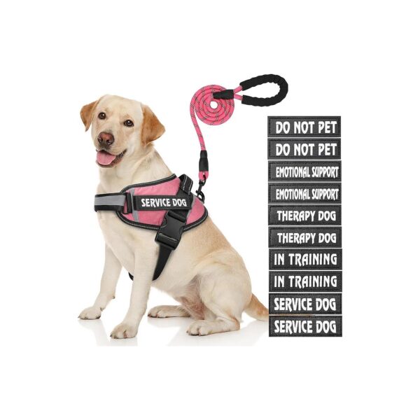 Dog Apparel Set Includes Harness Leash Patches for Small Medium Large Breed Dogs Pink XS