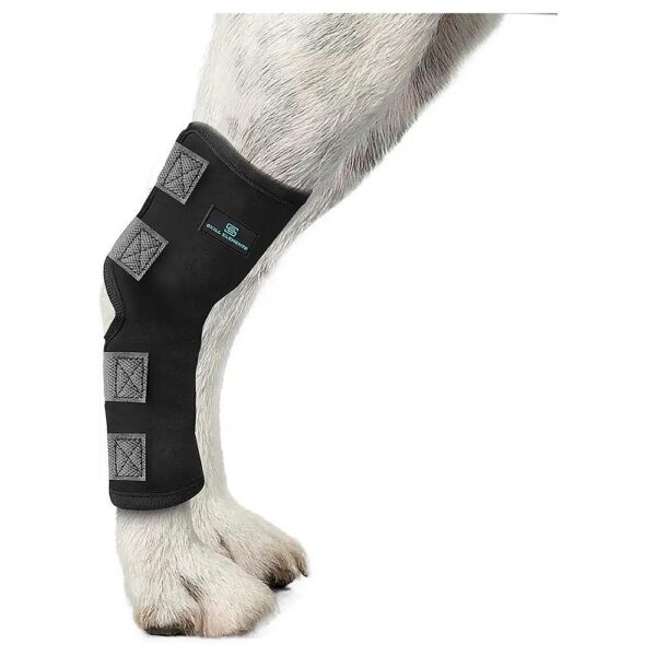 Dog Back Leg Knee Joint Compression Wrap for Injury Prevention and Recovery Small