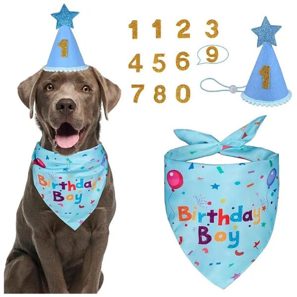 Dog Birthday Bandana Set with Hat and Numbers for Small Medium Large Dogs Pet Blue