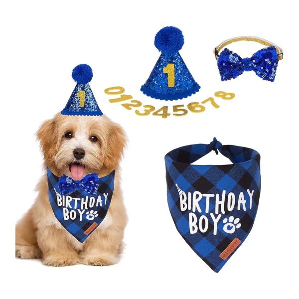 Dog Birthday Party Supplies with Dog Birthday Hat and Bandana