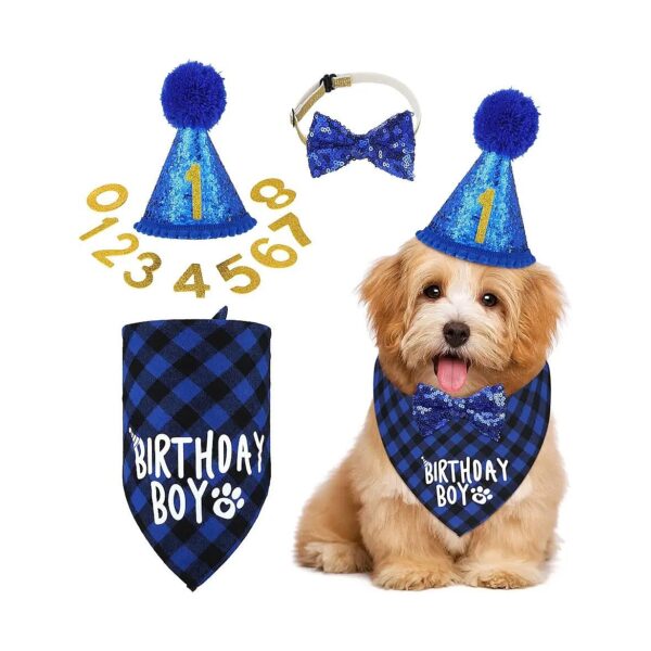 Dog Birthday Supplies with Bandana Scarf, Hat, and Collar for Puppy 1st Birthday