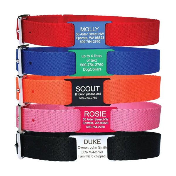 Dog Collars with ID Tags in Red, Blue, Pink, Black, and Orange for Customized Pet Wearing