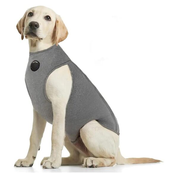 Dog Cone Alternative Full Body Recovery Suit for Wounds and Skin Protection