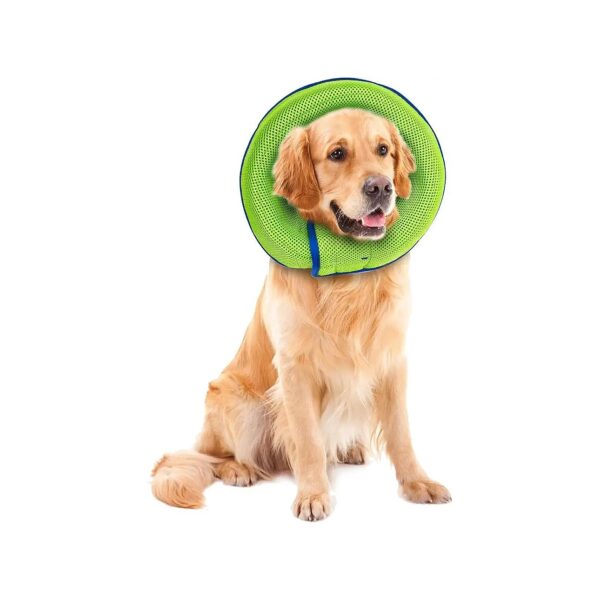 Dog Cone Collar for Pet Surgery Recovery Prevents Pets from Touching Wounds