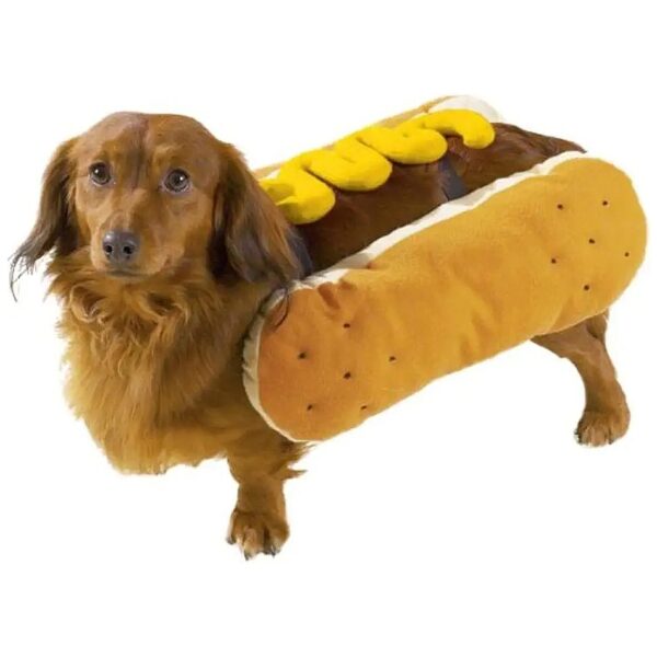 Dog Costume Polyester Hot Diggity Dog for Small to Medium Dogs