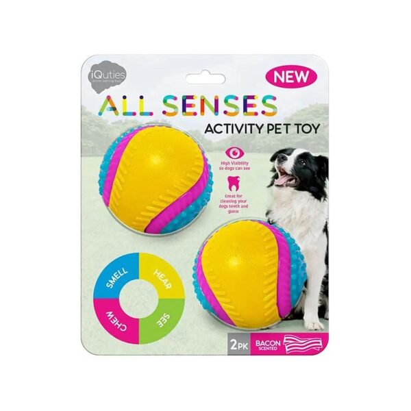 Dog Dental Health and Sensory Kit with Bacon Scented Balls, 2-Pack